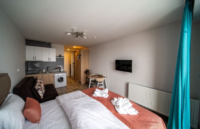 Loft 1 apartments New Gudauri - Foto 8