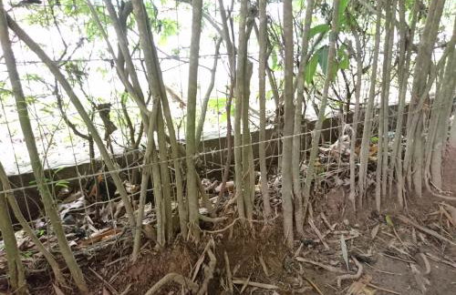 Casa do Artista - Foto 39