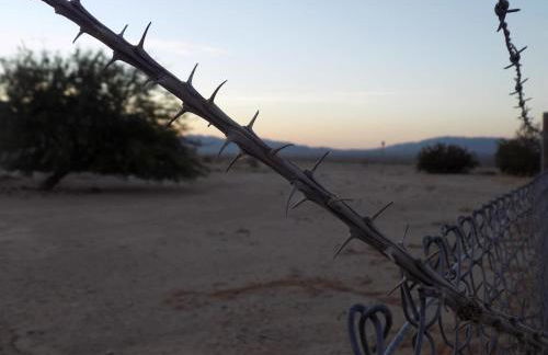 Desert Gem - Foto 56