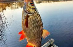 Malanówka 1 - Foto 30