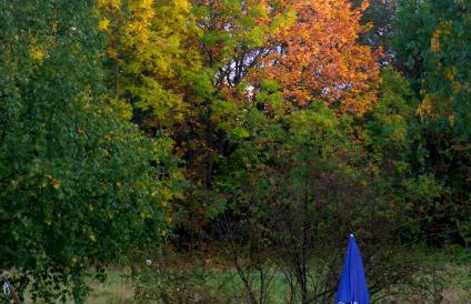 Dom Geologa - Foto 15