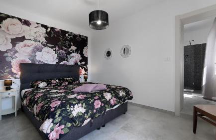 Villa Kristina - Swimming pool, Dolenja Vas - Istra - Foto 33