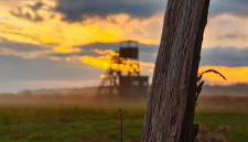 Ferienhaus Seemühl - Foto 4