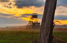 Ferienhaus Seemühl - Foto 4