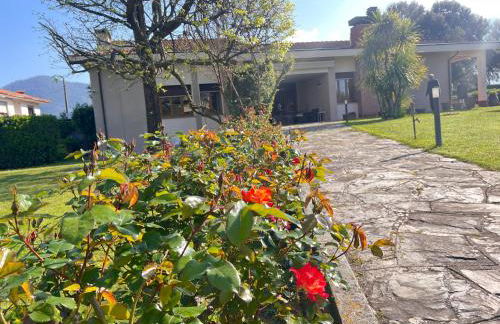 Villa Biba tra Lucca e Pisa - Foto 8