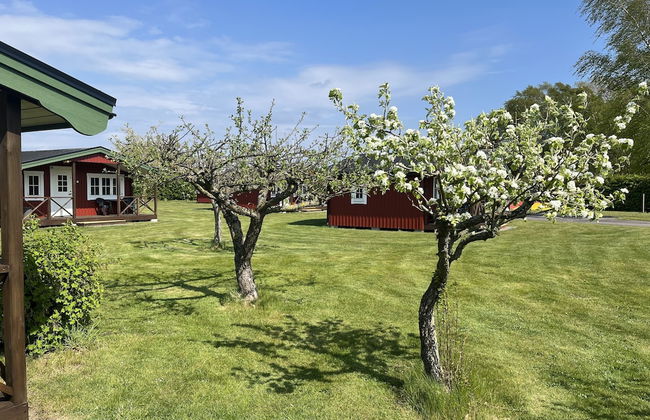 Mälarhusen Semesterby Österlen - Stugor & Gårdssviter - Photo 43