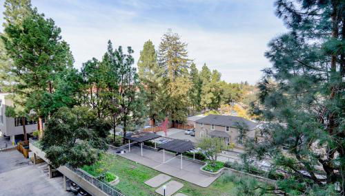 Palo Alto 1br w gym pool lounge nr tech HQs SFO-1255 - Foto 5, Other