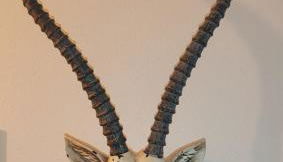 Central Studio - Foto 5