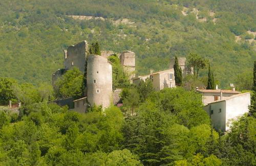 Chateau des Gipières bij de Mont Ventoux - Foto 27