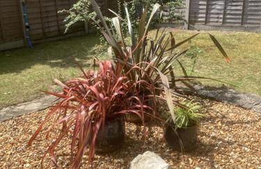 Forest Heath Holidays - Denphyl - Foto 21