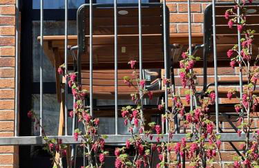 Alltagsstress adé - Wohnung mit Kamin in der Eifel - Foto 21
