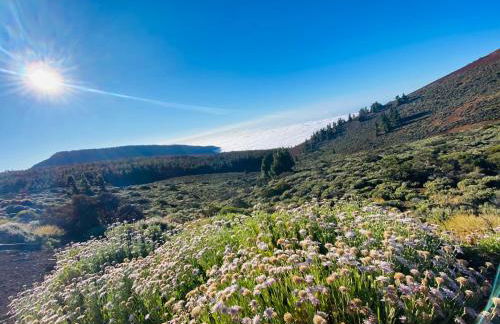 Apartamento Atlantico - Foto 71