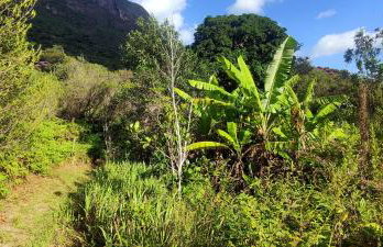 Studio Pitanga - Vale do Capão - Caeté Açu - - Foto 15