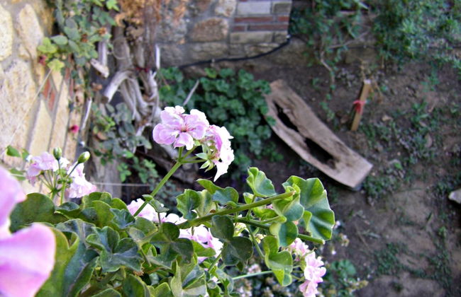 Stone House Andromeda - Foto 30