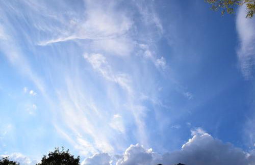 Dolomiti Apart - Foto 14