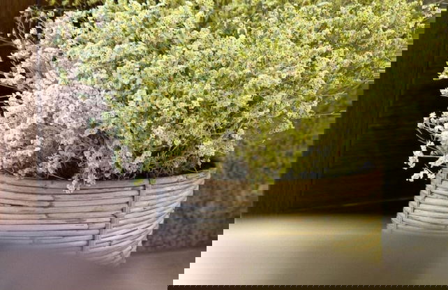 Rúa Travesa - Foto 38