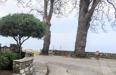 Flower house - Foto 48