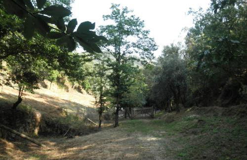 Casa Velha - Foto 23