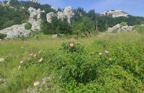 Cottage in Lovinac Near Paklenica Park - Foto 54