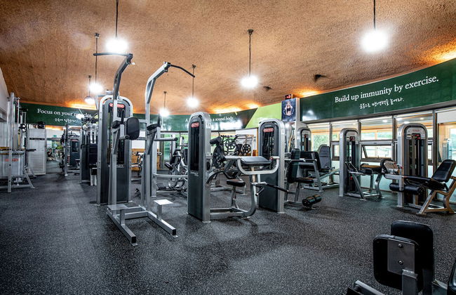 GoChang Well Park City Healing County - Photo 31