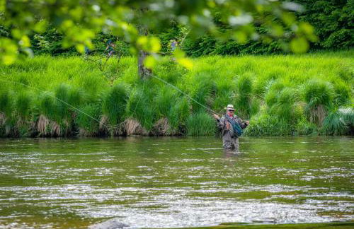 Ferienwohnung am Ilztal - Foto 10
