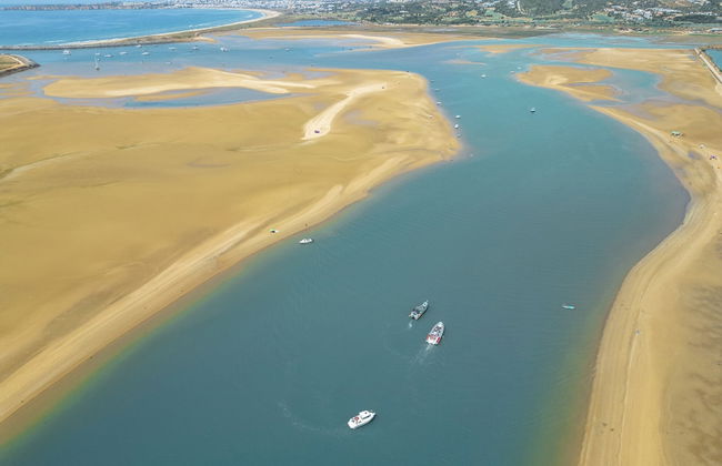 Apartment Jamaica - Photo 49