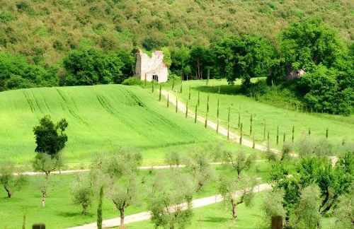 Relais Tenuta del Gallo - Foto 21