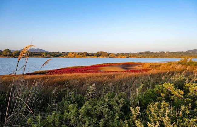 Villa Persephone in Corfu - Foto 5