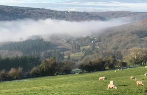 Sunnyview Annexe - Photo 30