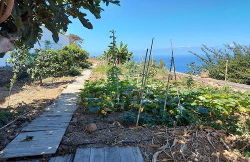 CASAS EN FINCA ECOLÓGICA LA ESPIRAL, NATURALEZA, CALMA Y VISTAS al MAR, - Foto 34