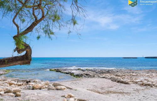 Apto Antic 101 Pax 6 - Foto 32