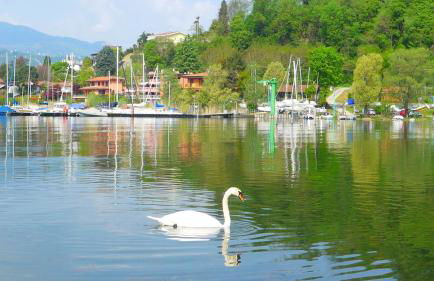 The Gulf Villa - Lago Maggiore - Foto 50