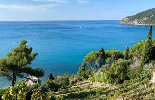 A & M HOUSE - Foto 38