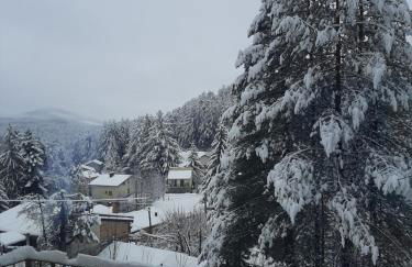 Dimora nel bosco - Foto 46