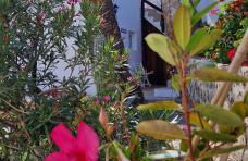 Ferienwohnung mit Panoramablick in der Finca Gran Calma - ideal für Wanderer - Foto 11