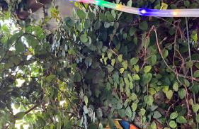 Flats Um Sonho De Liberdade - Photo 26