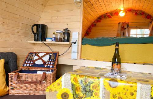 Kuhle Auszeit - Fass Sonnenblume - Foto 8