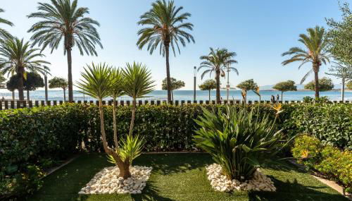 Apartamento Ballena - Photo 2