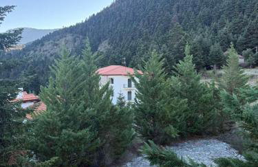 Horizon Nest Parnassos Villa Chalet! - Foto 40