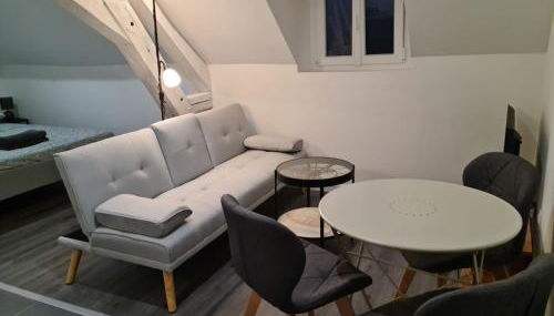 Beaugency-1 sur la route des Châteaux - Photo 4