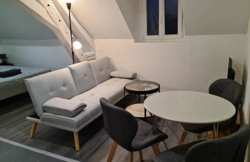 Beaugency-1 sur la route des Châteaux - Photo 4