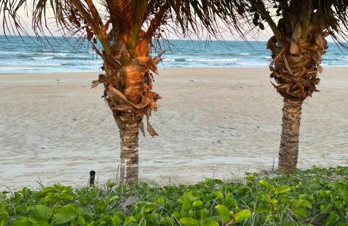 Jurema Dourada - Photo 16