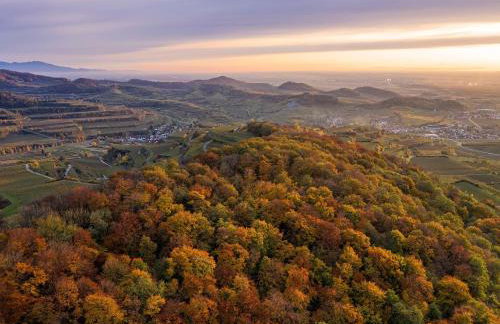 Winzerhof Henkenberg - Foto 11