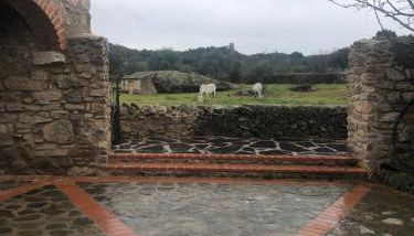 Casa rural La Tahona del abuelo TR CC 00344 - Foto 3