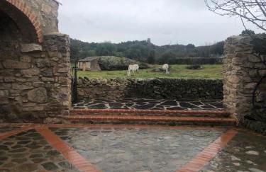 Casa rural La Tahona del abuelo TR CC 00344 - Foto 3