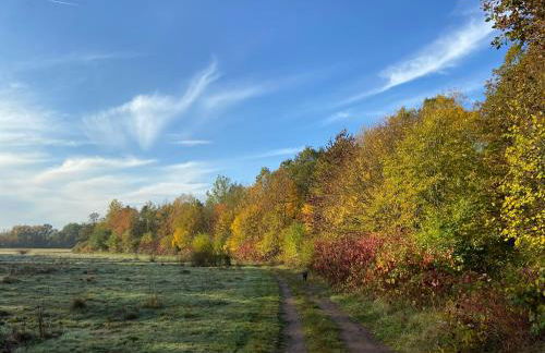 Ferienhaus Kleine Auszeit - Foto 49
