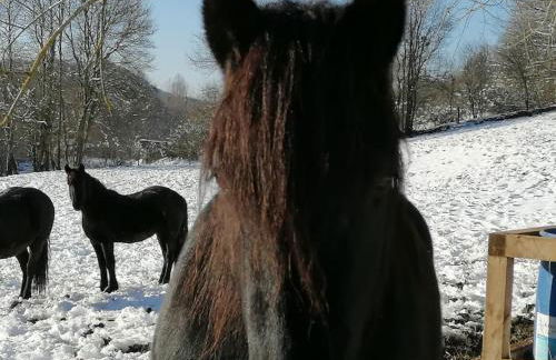 Les Merens - Foto 23