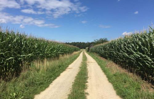 WERTS HOF Apartment 2 - Foto 17