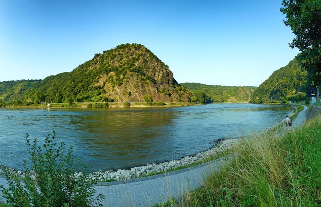 PARK VILLA zentral am Mittelrhein - Foto 74