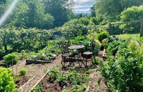 Bloomridge Ranch Mountain Views Modern - Foto 53